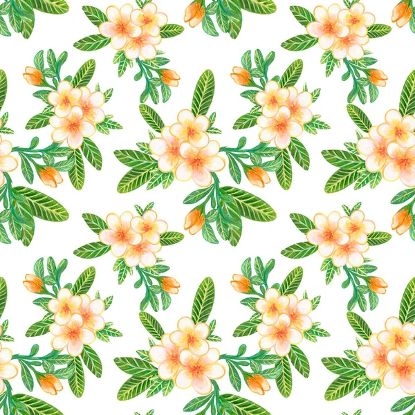 Watercolor illustration Botanical collection Plumeria and Frangipani foliage leaves bouquet Set of wild and garden and abstract seamless pattern hand drawing