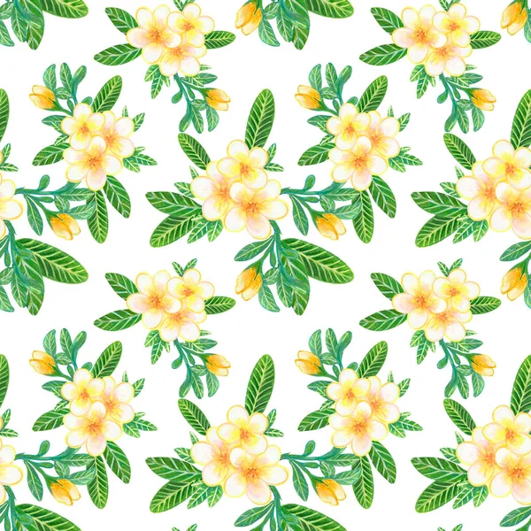 Watercolor illustration Botanical collection Plumeria and Frangipani foliage leaves bouquet Set of wild and garden and abstract seamless pattern hand drawing