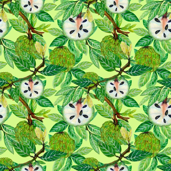 Hand Painting Seamless Repeat Pattern Background Icustard Apple Fruit Plants — Zdjęcie stockowe