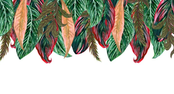 Watercolor Illustration Botanical Tropical Leaf Tree Houseplants Frame Invitation Label — Fotografia de Stock