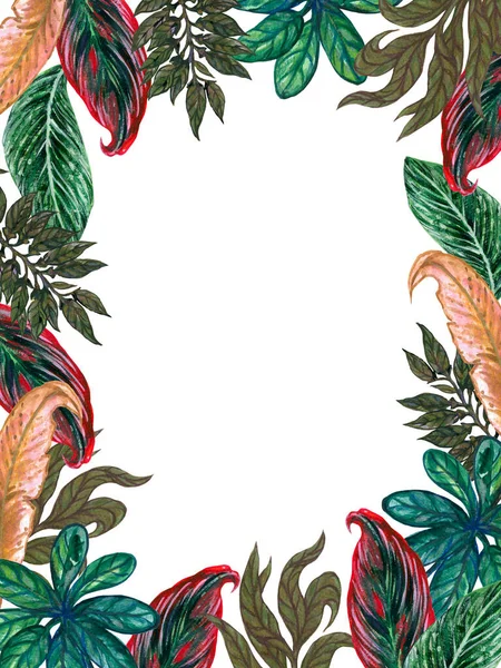 Watercolor Illustration Botanical Tropical Leaf Tree Houseplants Frame Invitation Label — Stok fotoğraf