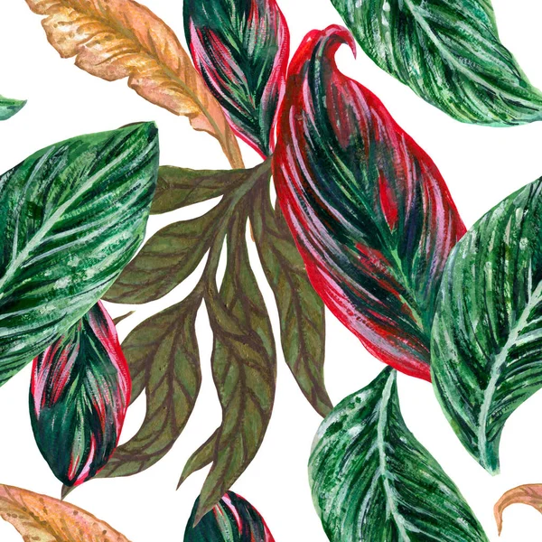 Watercolor Illustration Botanical Tropical Indoor Outdoor Houseplants Seamless Pattern Repeat — ストック写真