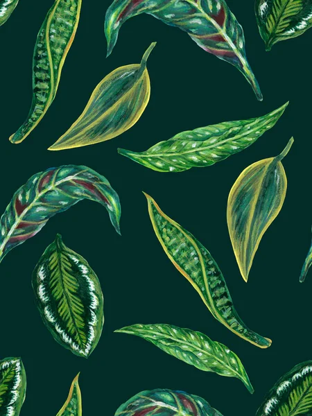 Watercolor Gouache Illustration Botanical Leaves Collection Tropical Leaves Houseplant Hand — Zdjęcie stockowe