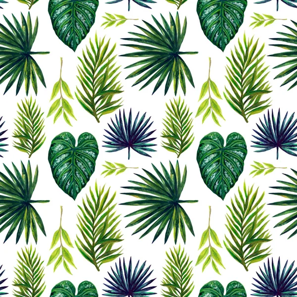 Watercolor illustration Botanical collection green tropical leaves foliage leaves Set of wild and abstract seamless pattern hand drawing