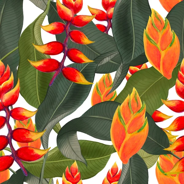 Watercolor Gouache Rainforest Heliconia Plants Branches Leaves Hand Drawn Illustration — Stok fotoğraf