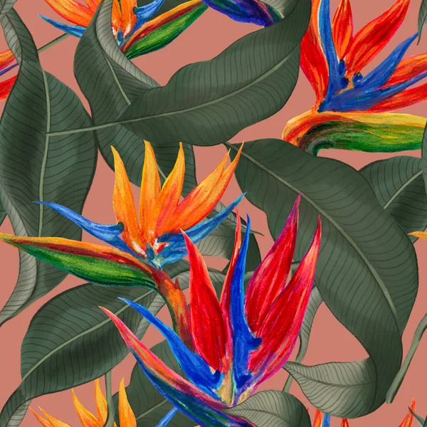 Watercolor gouache Rainforest bird of paradise plants branches with leaves and Hand drawn illustration Design for wedding invitations fabric pattern scrapbook greeting cards