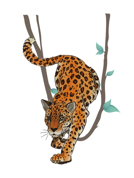 Watercolor Gouache Exotic Animal Leopards Motion Element Isolated Arrangement Ornament — Foto Stock
