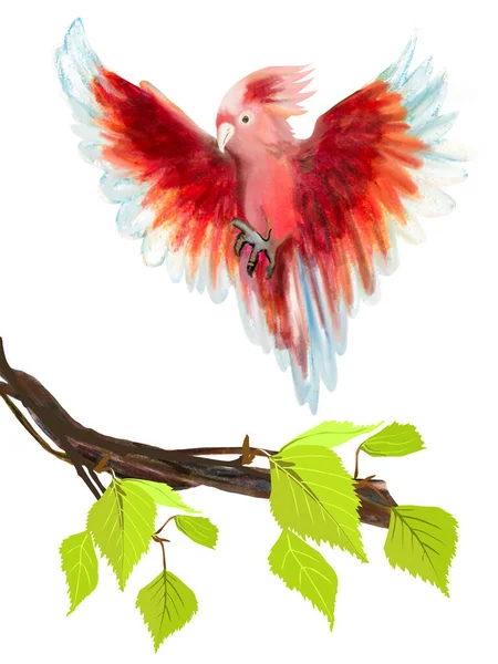 Tropical Bird Cockatoo Bright Pink Feathers Sitting Branches Foliage Element — Stock Photo, Image