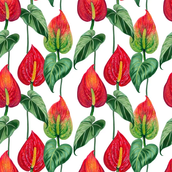 Anthurium Plants Flowers Leaves Branches Foliage Seamless Pattern Illustration Watercolor — Stock Fotó