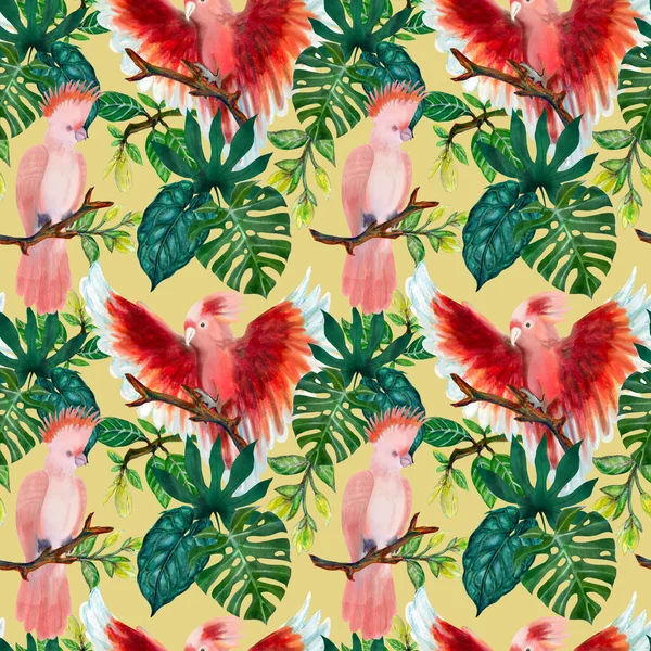 Seamless Pattern Cockatoo Pink Birds Tropical Leaves Monstera Foliage Branch — ストック写真