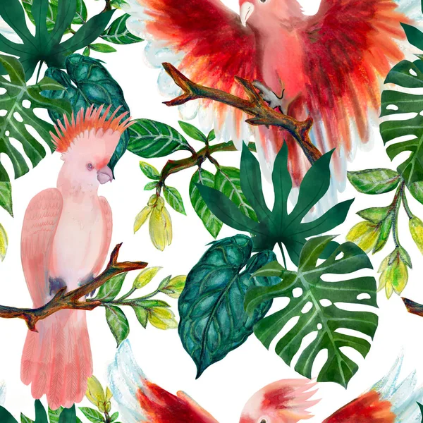 Seamless Pattern Cockatoo Pink Birds Tropical Leaves Monstera Foliage Branch — Stok fotoğraf