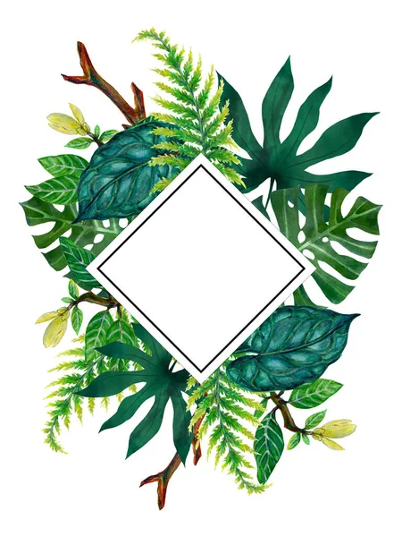 Rainforest tree branch label border banner stock illustration greeting template