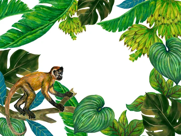 Monkey Animal Tropical Leaves Monstera Foliage Branch Banana Fruit Leaf — Stock Fotó