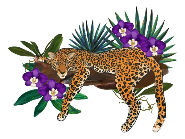 Jungle Animals Exotic Illustrations Tiger Leopard Palm Leaves Tropical Leaves — Foto Stock