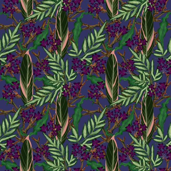 Hand Painting Watercolor Illustrationinspired Ahouseplants Oxalis Tropical Rainforest Foliage Leaf — Stock Fotó