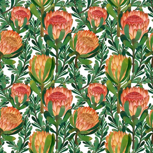 Protea Flower Foliage Leaf Botanical Blooming Digital Drawing Painting Seamless — Fotografia de Stock