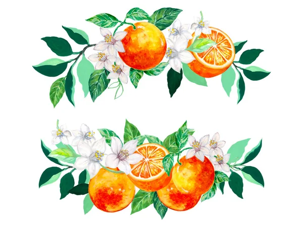 Summer spring label banner border fresh orange valencia mandarin foliage leaves and flower Bright tasty for invitation Template card