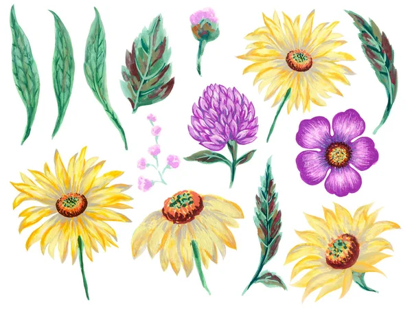 Hand Painting Yellow Purple Violet Green Isolated Element Botanical Foliage —  Fotos de Stock