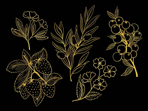 Gold Element Ornamental Arrangement Drawing Outline Botanical Plant Tree Foliage — Stockfoto