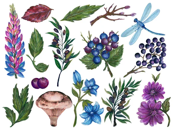 Colourful Element Gerbera Lavender Blue Flowers Branch Foliage Olive Tree — Stock Fotó
