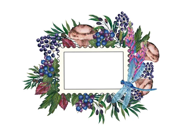 Watercolor gouache label banner frame template gerbera lavender blue flowers branch and foliage olive tree blueberry leaves and mushroom and insects dragonfly on white background