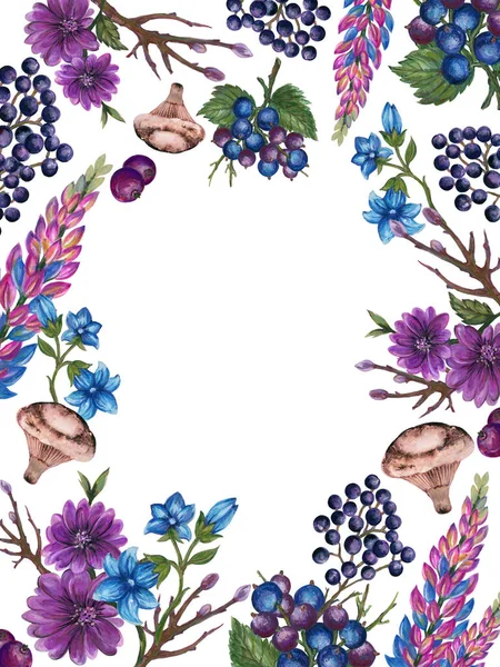 Watercolor Illustration Bloom Botanical Plants Leaf Lavender Mushroom Berry Fruits — Stock Fotó
