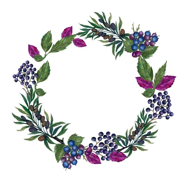 Watercolor Gouache Wreath Circle Blueberry Berry Branch Foliage Olive Tree — 图库照片
