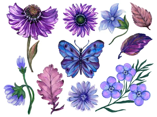 Classic Blue Purple Flower Botanical Bouquet Plant Dry Leaves Butterfly — Stock Fotó