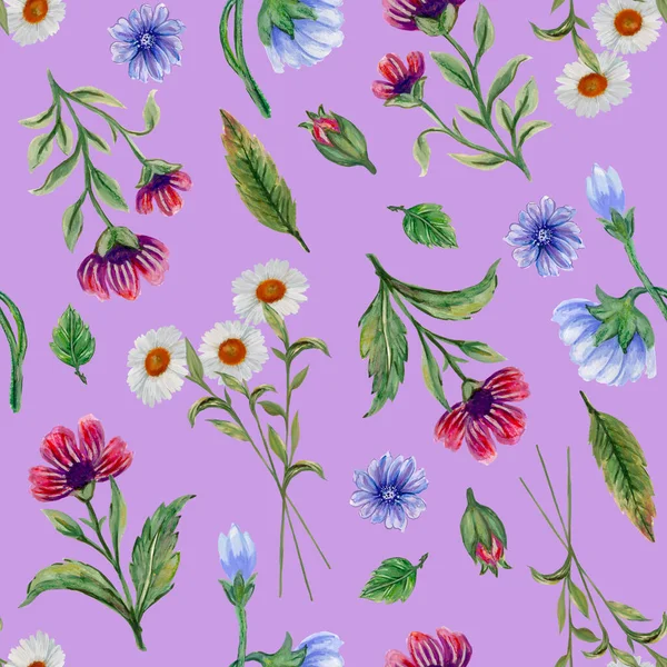 Floral Seamless Pattern Botanical Garden Wild Field Flowers Green Leaves — Stockfoto