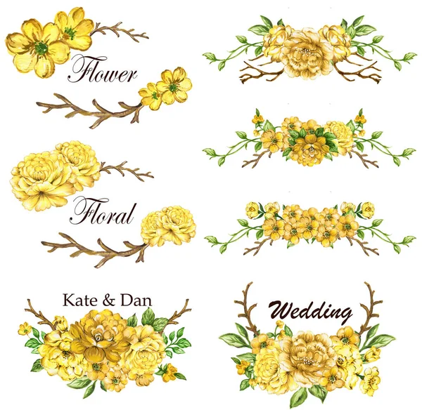 Yellow spring collection with leaves and flowers, drawing watercolor. Spring or summer design for invitation, wedding or greeting cards. Set of flowers isolated over white background.