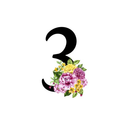 set of watercolor numbers in botanical vintage blooming style  Flowers and leaves of various rose , peonies, wildflower painting drawing