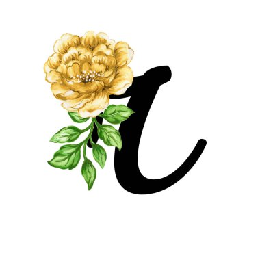 Floral ornate letters flowers pink, yellow vintage font and flower ornaments alphabet. Royal ornate abc, flourishes decor elegant letter or antique alphabet lowercase illustration set