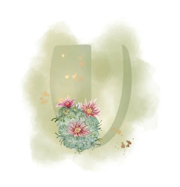 Верхній Водяний Колір Цифрового Живопису Кактус Сукулентне Ботанічне Листя Квітучого — стокове фото
