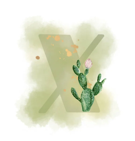 Uppercase Waterscolor Digital Painting Cactus Succulent Botanical Blossom Foliage Leaves — Stockfoto