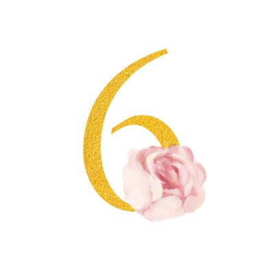 Botanical ornate letters number flowers gold color and botanical boho font and flower ornaments alphabet. Royal ornate abc, flourishes decor elegant letter or antique alphabet illustration set