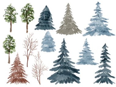 Set of spruce, pine trees, trees, dry wood element isolated on a white background  Illustration Watercolor digital clip art