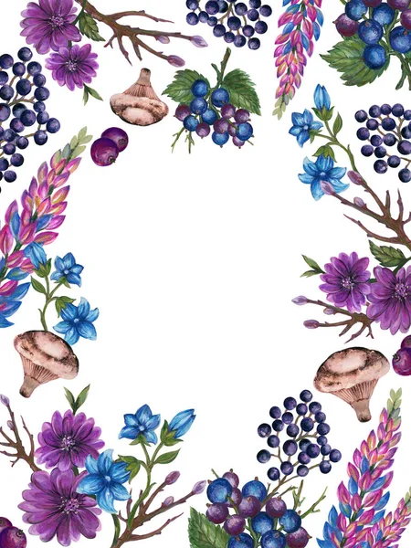 Акварельні Ілюстрації Розквітають Ботанічні Рослини Листя Лаванди Гриби Плоди Гілці — стокове фото