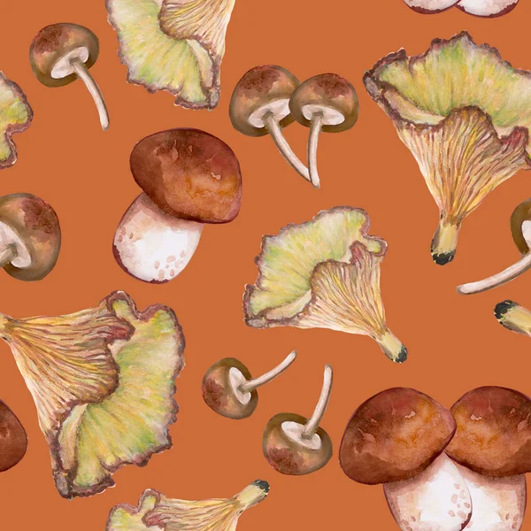 Seamless Pattern Watercolor Illustration Set Wild Mushroom Fungus Fall Autumn — ストック写真