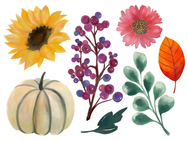 Šťastné Díkůvzdání Dovolená Slavnostní Botanické Květinové Listy Dýně Squash Gourds — Stock fotografie