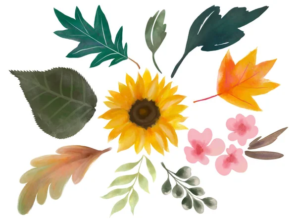 Feliz Día Acción Gracias Festivo Flor Botánica Hoja Elemento Colorido —  Fotos de Stock