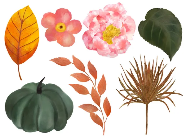 Feliz Día Acción Gracias Festivo Hoja Flores Botánicas Calabaza Calabaza —  Fotos de Stock