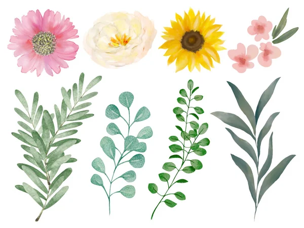 Akvarell Őszi Őszi Virág Levelek Állomány Illusztráció — Stock Fotó