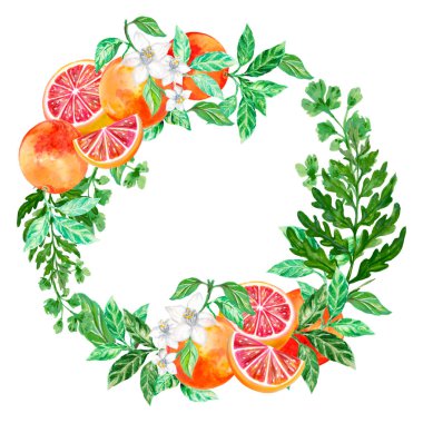 Suluboya resimli el, taze parlak Greyfurt Botanik ve vahşi tarlalar yaprak çelengi şablon afiş ambalajı 