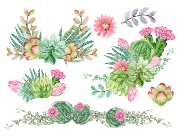 Akvarel Kaktus Šťavnaté Rostliny Listoví Botanické Prvky Kytice Zdobí Pro — Stock fotografie