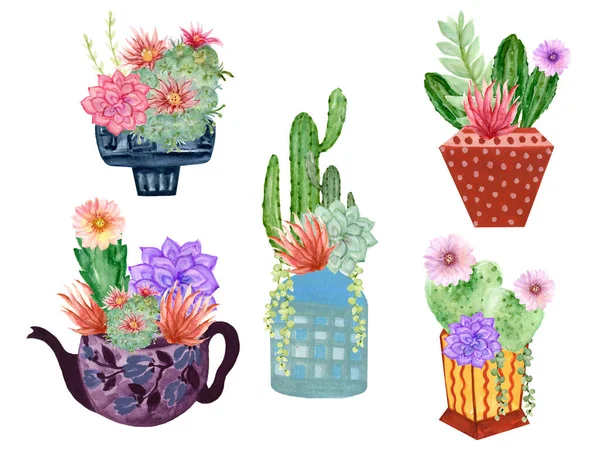 Akvarel Kaktus Šťavnaté Rostliny Botanické Květináč Uspořádání Pokojové Rostliny Kytice — Stock fotografie