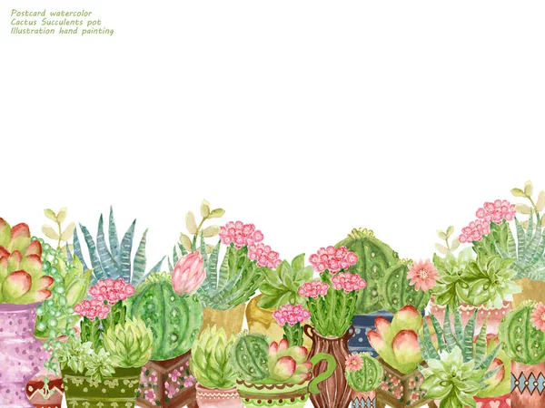 Acquerello Cactus Piante Succulente Disposizione Vaso Fiori Botanico Bouquet Isolati — Foto Stock