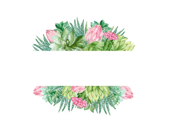 Akvarell Kaktusz Zamatos Növények Botanikai Meghívó Párt Elszigetelt Fehér Alapon — Stock Fotó