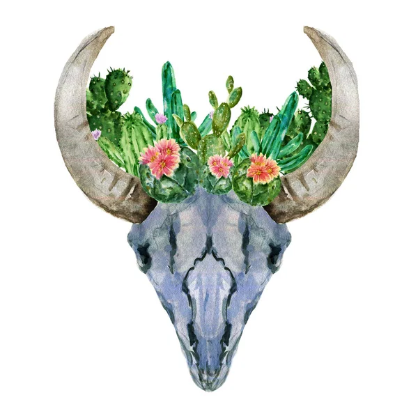 Akvarell Készlet Horn Koponya Fej Csontváz Kaktusz Zamatos Növény Elszigetelt — Stock Fotó
