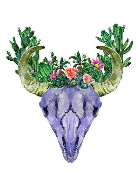 Akvarell Készlet Horn Koponya Fej Csontváz Kaktusz Zamatos Növény Elszigetelt — Stock Fotó