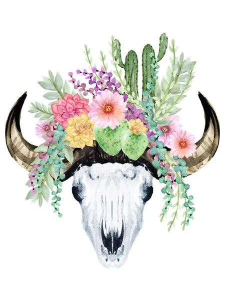 Akvarell Készlet Horn Bika Bivaly Koponya Fej Csontváz Kaktusz Zamatos — Stock Fotó